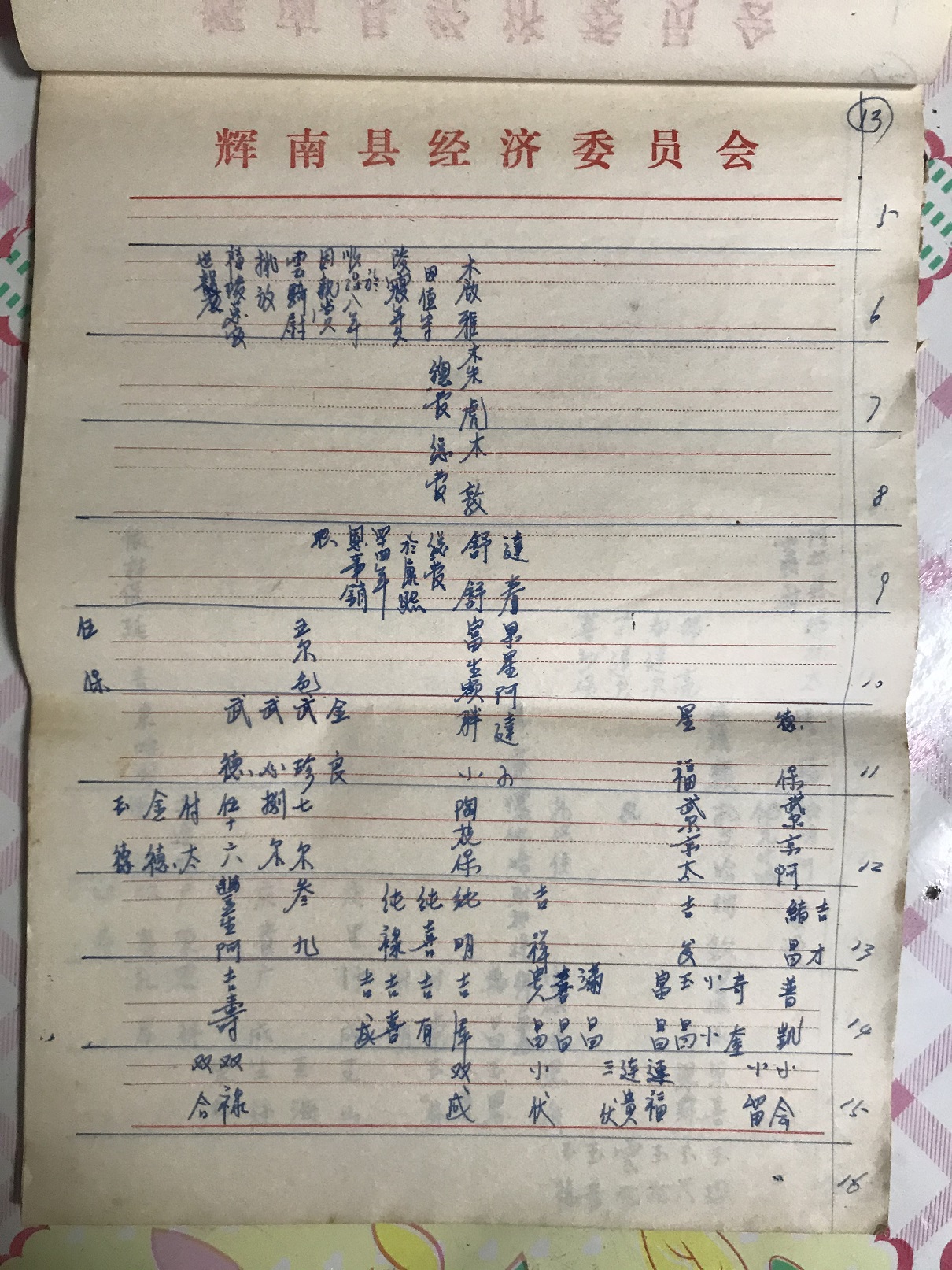 赵玉华保存家谱13页